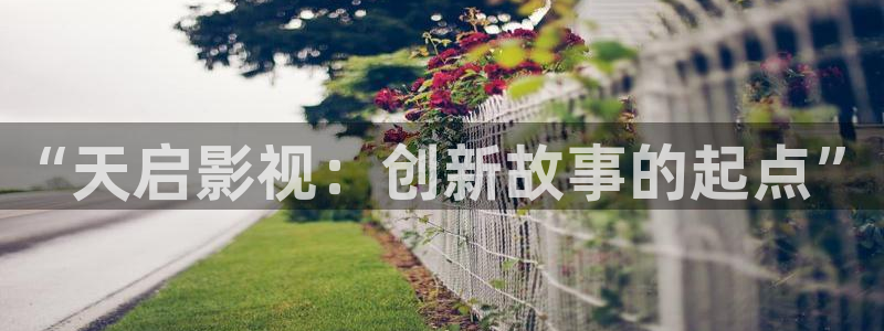 神马琪琪影院伦理片