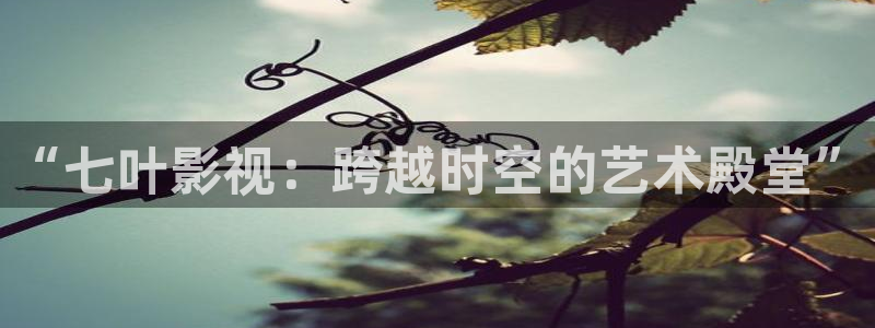 yy6080琪琪