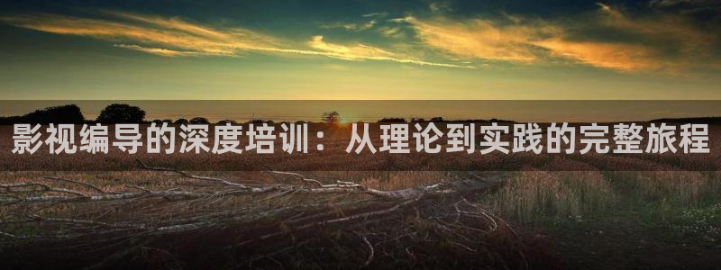 琪琪影院免费在线播放：影视编导的深度培训：从理论到实践的完整旅程
