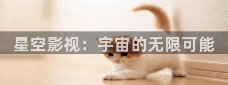 神马影院琪琪影院